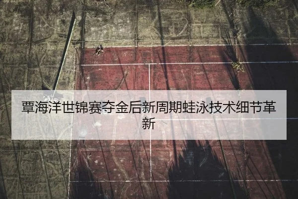 覃海洋世锦赛夺金后新周期蛙泳技术细节革新